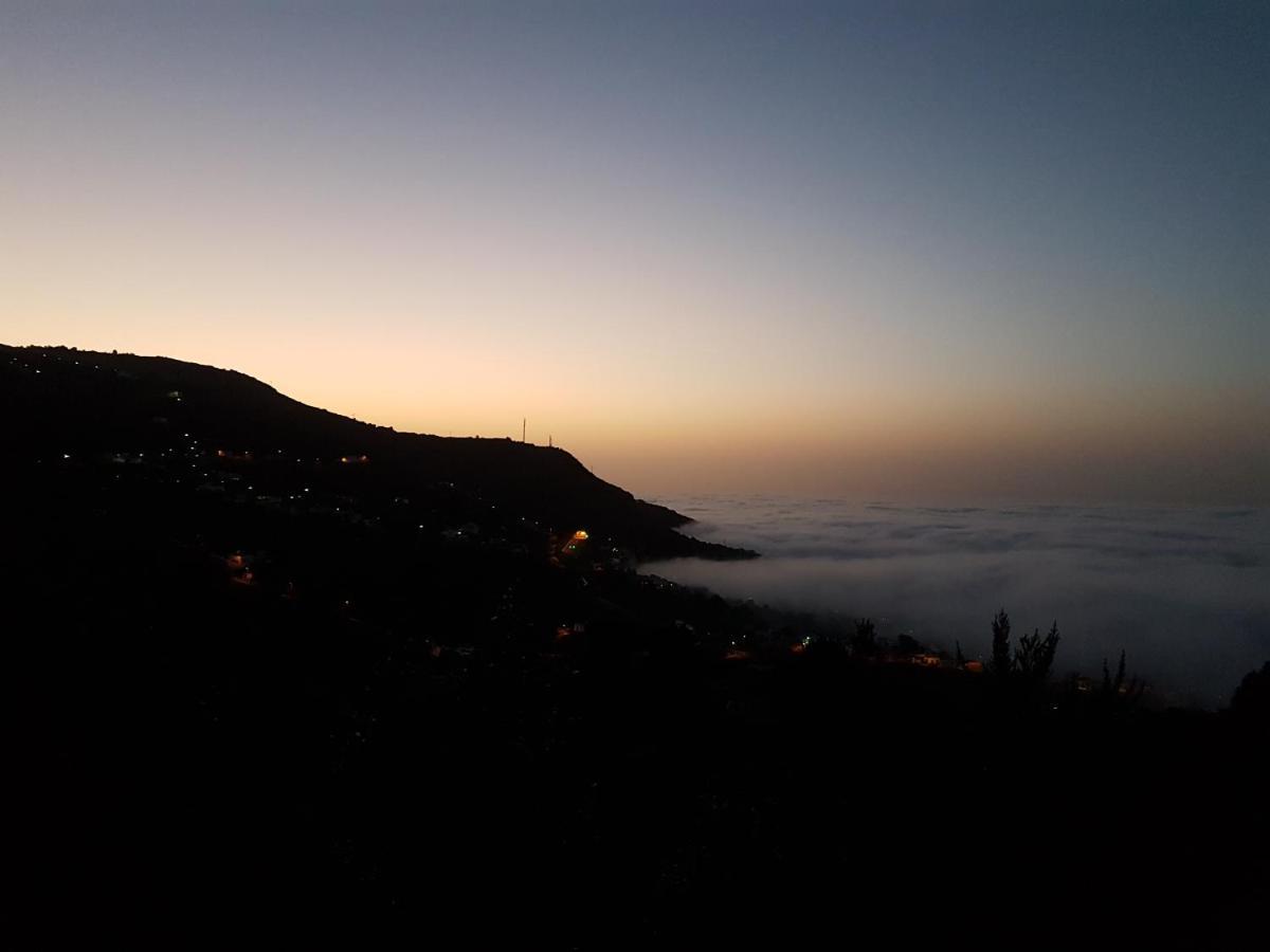Finca Los Ciruelos Casas Rurales Icod De Los Vinos Bagian luar foto