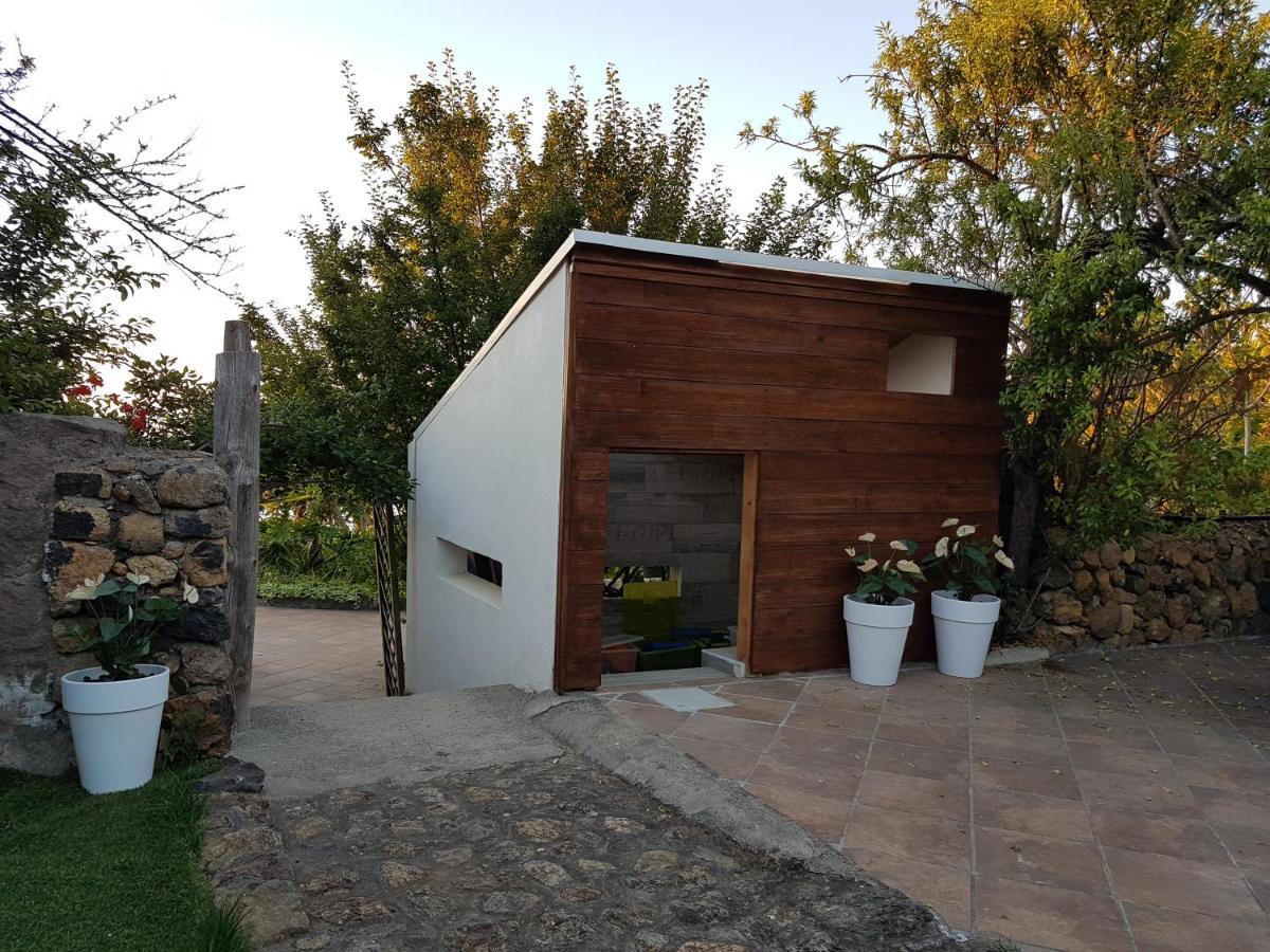 Finca Los Ciruelos Casas Rurales Icod De Los Vinos Bagian luar foto