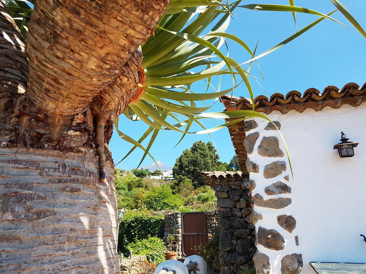 Finca Los Ciruelos Casas Rurales Icod De Los Vinos Bagian luar foto